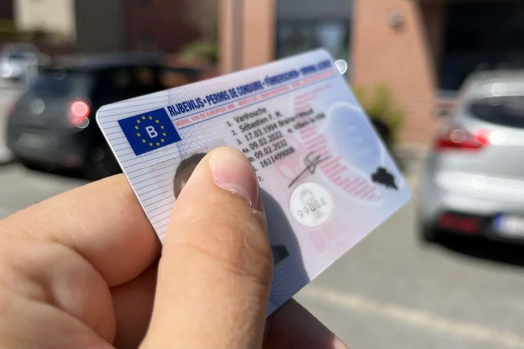 Rijewijs kopen in Belgie